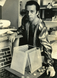 Imagem de Hélio Oiticica